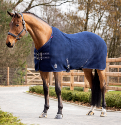 LeMieux Arika Clima-Tek Rug 