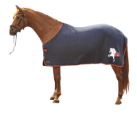 GB Team IHSGB Rug