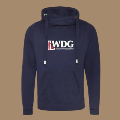 LWDG Cowl Neck Hoody