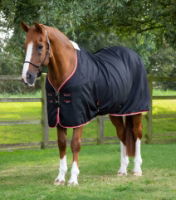 Premier Equine Buster Waffle Horse Cooler Rug