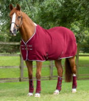 Premtex-cooler-burgundy-1