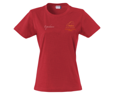 Dressage to Music League Ladies T-Shirt 