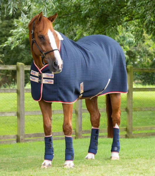 premtex-horse-cooler-rug-navy