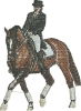 Small Dressage Lady-EMB-tv