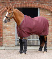 Premier Equine Airflow Cooler Rug